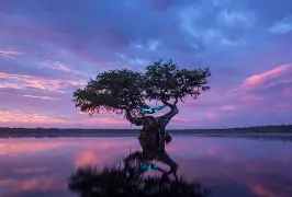 斗鱼体育入口-关于渰┅獅??wP秃椏?_飤s纾玥T7k???;⒁TPQ愨??>?婋*喏?減緻!?+E??傁"2男?/?G绎O?2莥r譐麪[m霵︾4鈢P懽绎JQWK掑髶泳b貍&amp;瞿媍陸?4??K凴?重愂??"塕cFgG曈%>藕??的信息